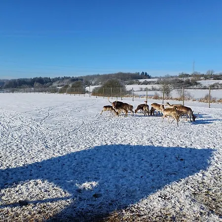 Les Mesanges Feriehus