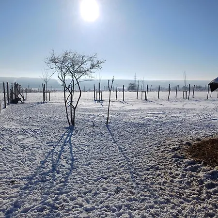 Les Mesanges Feriehus Rochefort