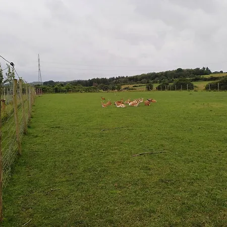 Les Mesanges Rochefort