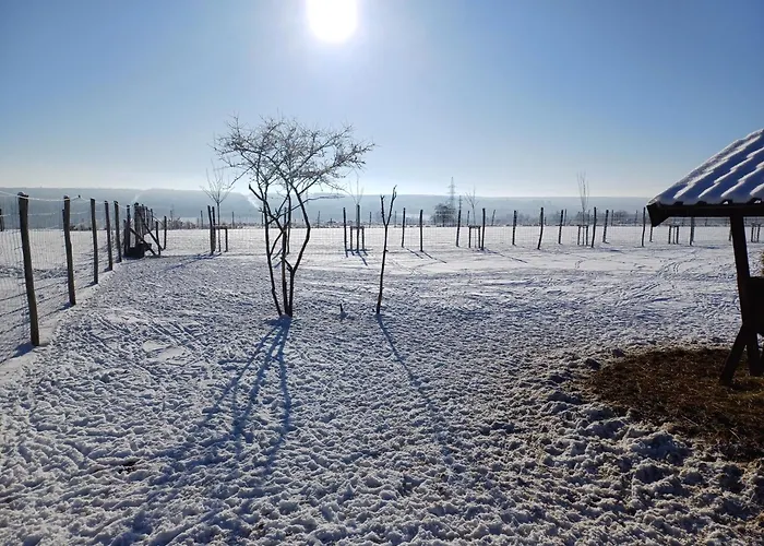 Les Mesanges Casa de Férias Rochefort
